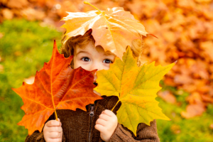 Autumn,Baby,Portrait,In,Fall,Yellow,Leaves,,Little,Child,In